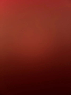 A26595c9a6bbb4d49b207b855894b40a2p.jpg