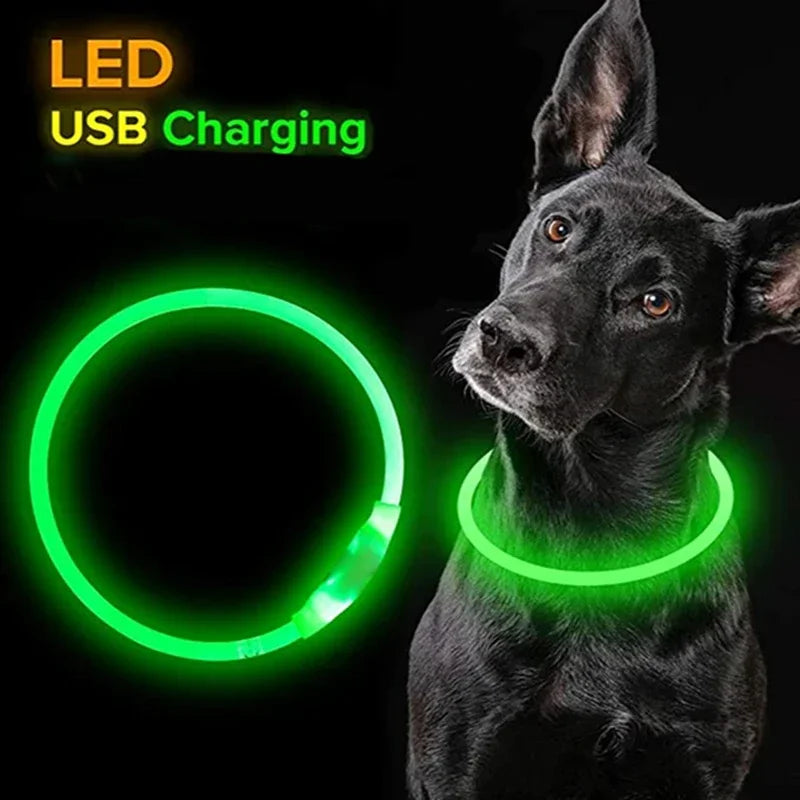 Glow-in-the-Dark Dog Collar