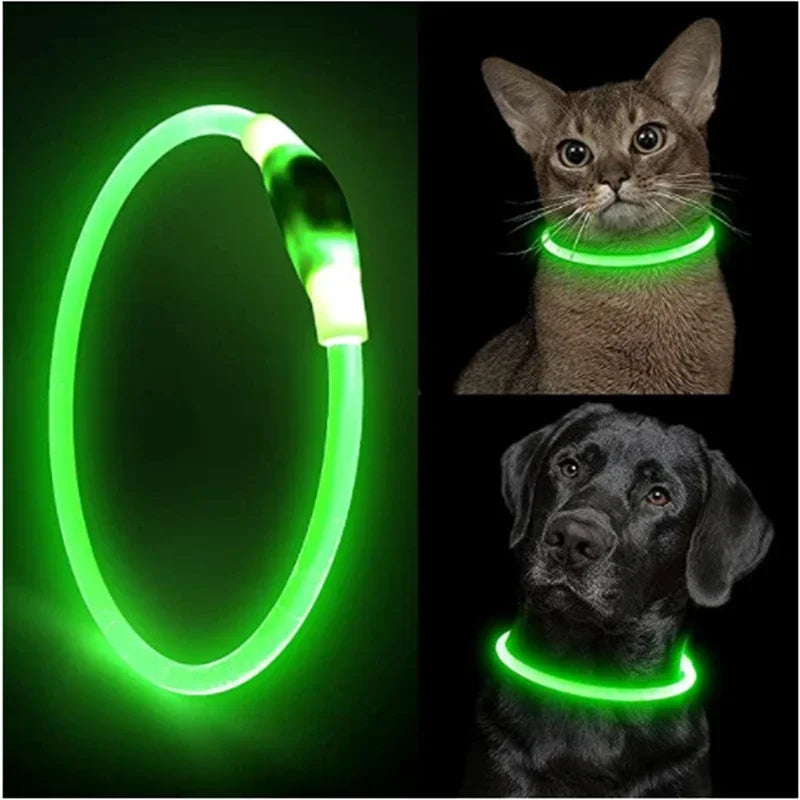 Glow-in-the-Dark Dog Collar
