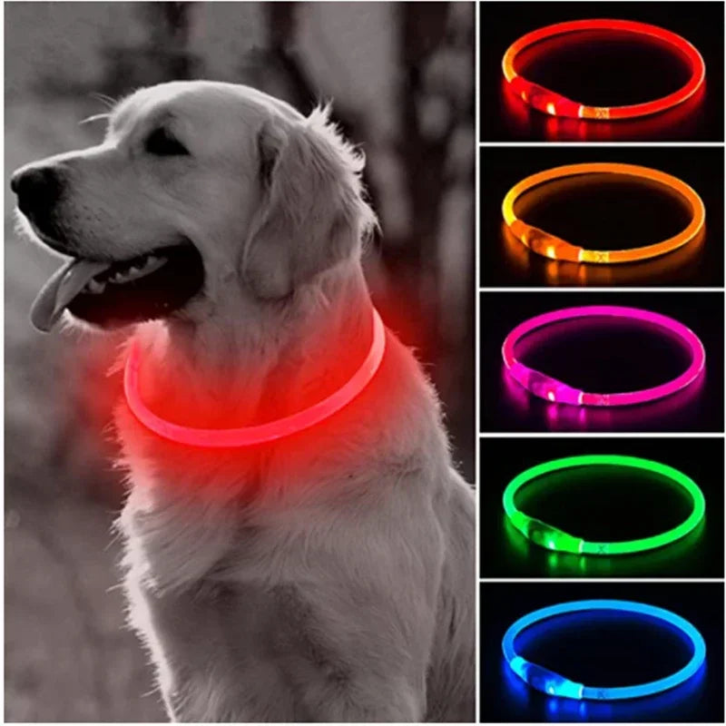 Glow-in-the-Dark Dog Collar