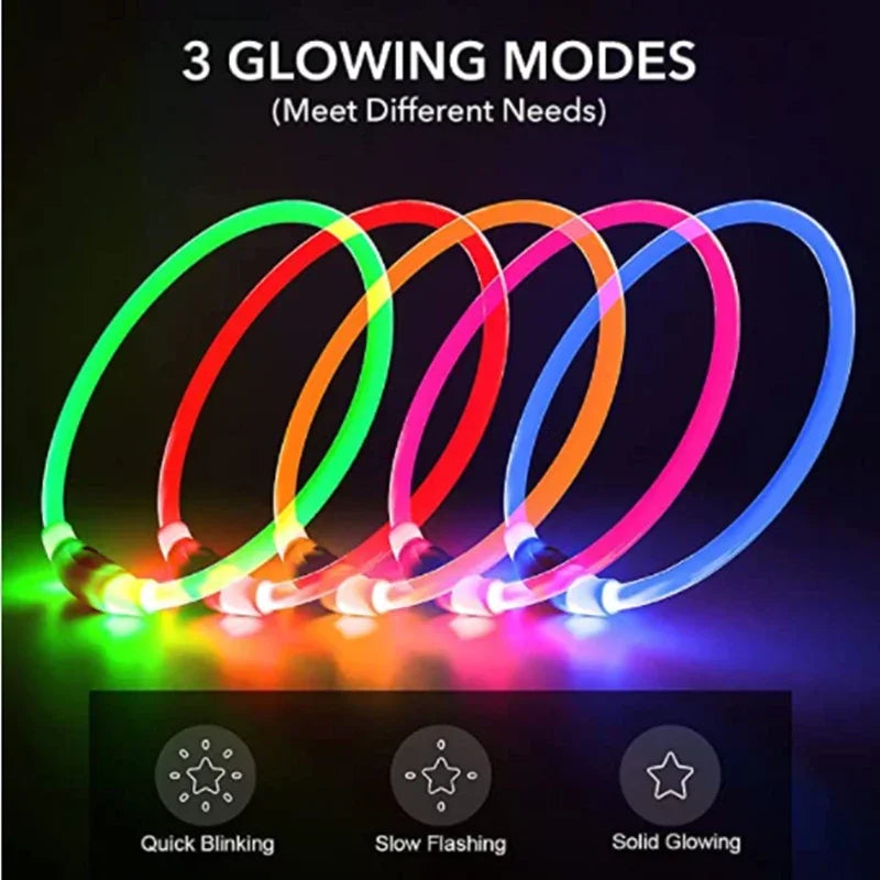 Glow-in-the-Dark Dog Collar