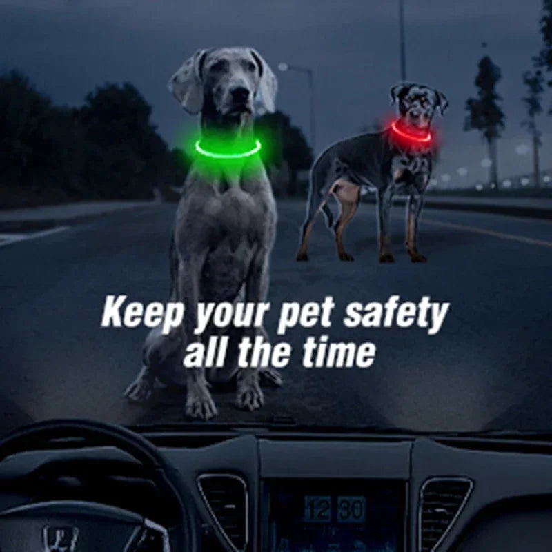 Glow-in-the-Dark Dog Collar