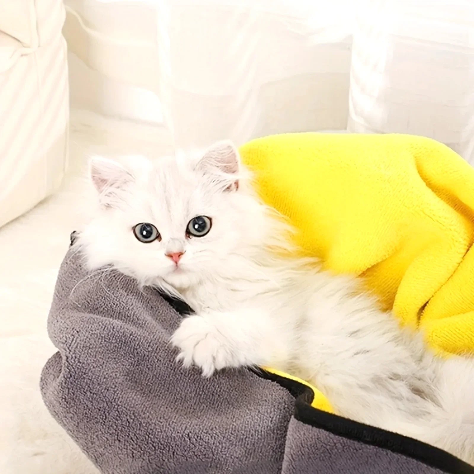 Quick Dry Pet Towel
