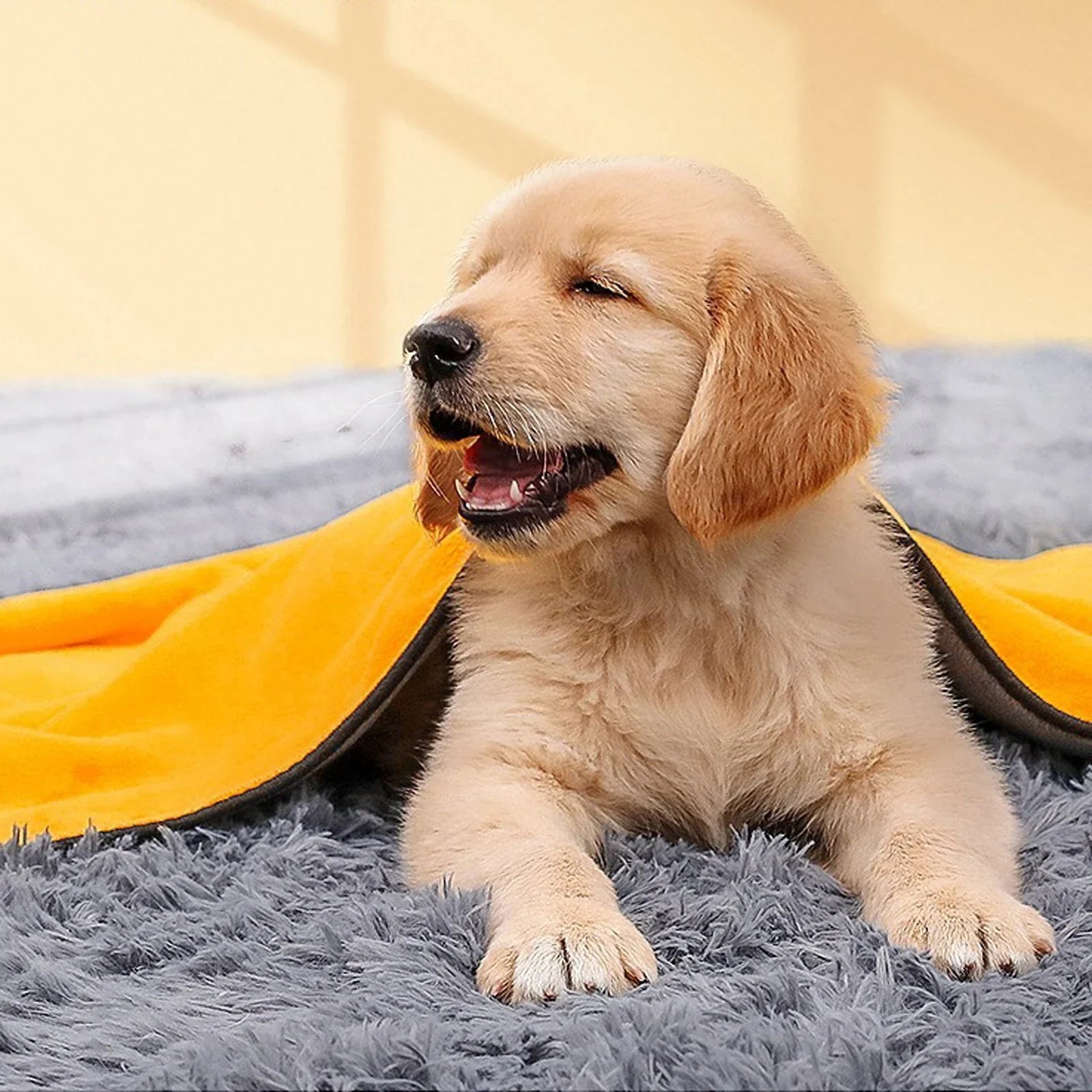 Quick Dry Pet Towel