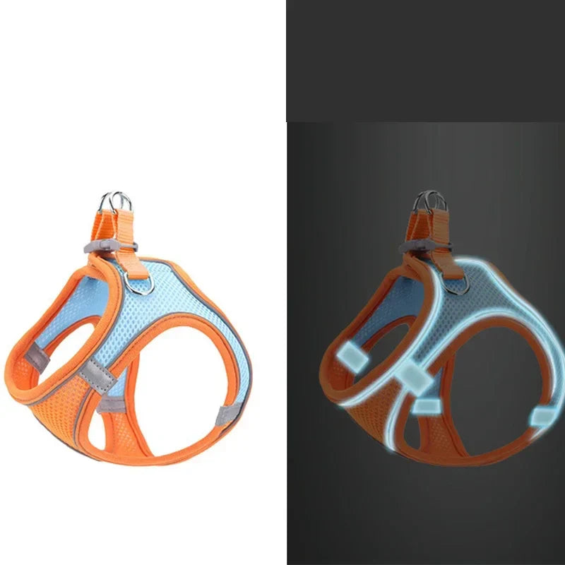 Reflective Pet Harness & Leash
