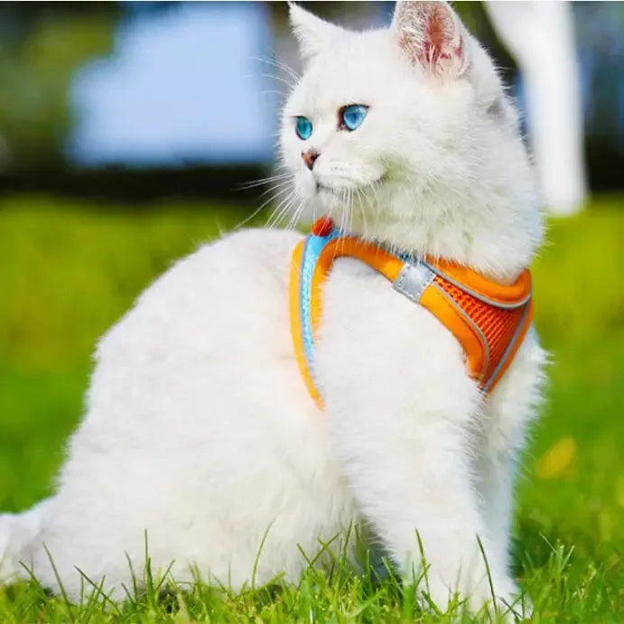 Reflective Pet Harness & Leash