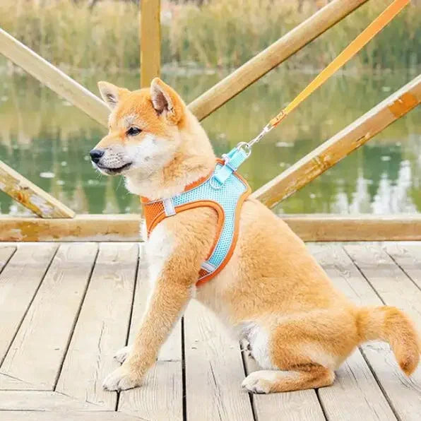 Reflective Pet Harness & Leash