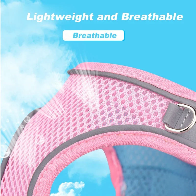 Reflective Pet Harness & Leash